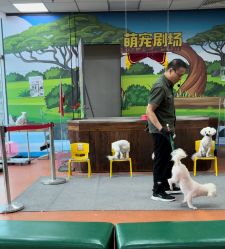 -未来动物城动物主题公园(大悦城店)