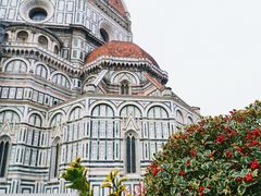 -圣母百花大教堂穹顶