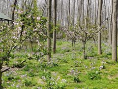 -合肥滨湖国家森林公园
