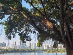 -南宁南湖公园