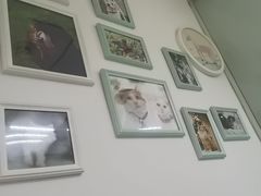 -宠福鑫动物医院(立水桥分院)