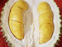 -都念榴莲·城市榴莲