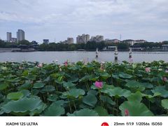 -葛仙湖公园