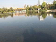 -洛龙公园