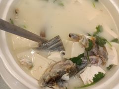 生滚鱼头豆腐元西汤-喜悦海鲜大酒楼(钱柜广场店)