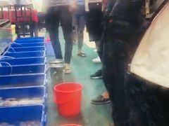-QQ海鲜餐厅
