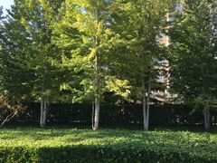 -清华大学玉泉医院