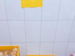 -老袁家蜜桃农场·阳山水蜜桃