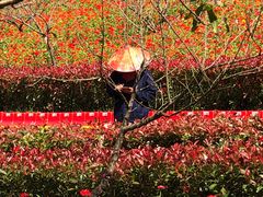 -千岛湖石林