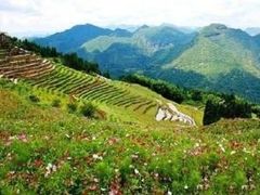 -永泰中国云顶