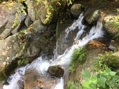 -藏龙百瀑风景区