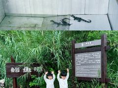 -池杉湖湿地公园