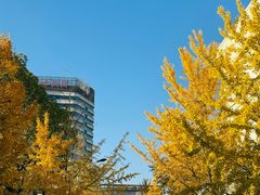 -杭州市临平区信达外国语学校(水景校区)