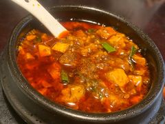 -陈麻婆豆腐总店