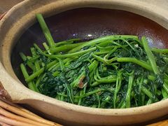 -熠盛粤味·顺德桑拿鸡(永康路店)