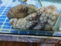 -红月湾海鲜饭店•沙滩海景(双月湾店)