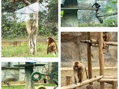 -杭州野生动物世界