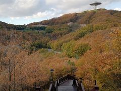 景点-童牛岭风景区