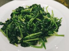 清炒鸡毛菜-金枝玉叶上海人家食府(三里河店)