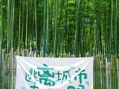 -莫干山风景区