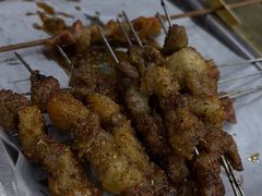 -海波肉串(金顶山大街店)