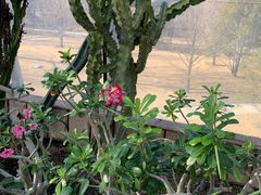 -北京植物园-展览温室