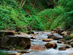 -广州白江湖森林公园