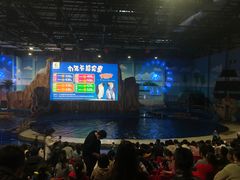 -华夏文旅海洋公园