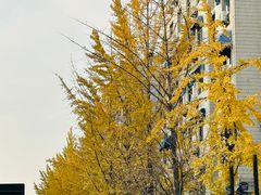 -亭亭鲜花店(中山北路店)