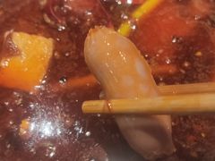 -龍歌自助小火锅(李沧顺和汇店)
