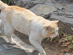-莲池书院博物馆