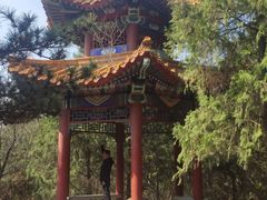 -云岗森林公园