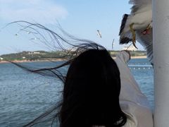 -海驴岛(荣成市)