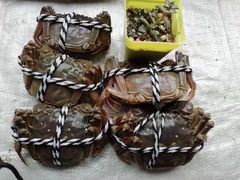 -七的湖·晚芳亭·阳澄湖农家菜·大闸蟹(莲花岛店)