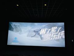-万达影城(闵行颛桥万达广场杜比影院店)
