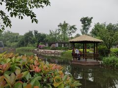 -成飞公园