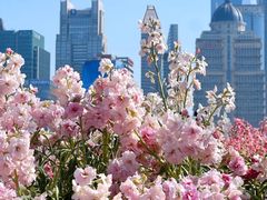 -上海港国际客运中心