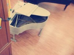 iphone_upload_pic-鼓浪屿钢琴博物馆