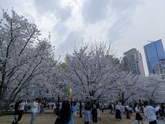 -西北湖绿化广场