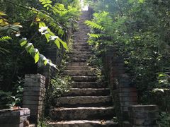 -云岫谷自然风景区