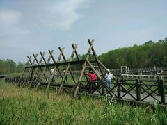 -溱湖国家湿地公园