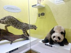 -国家自然博物馆