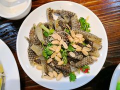 凉拌花生鱼皮-凤厨顺德水乡凤味馆(大良锦龙路店)