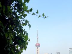 -顶层酒吧ROOF(上海艾迪逊酒店)
