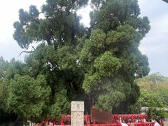 -四门塔风景区