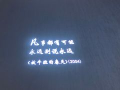 -星河寰宇IMAX影城(星河WORLD·COCO Park店)