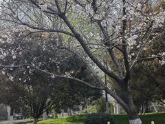 -堤角公园