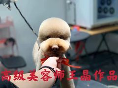 -宠物家(双井店)