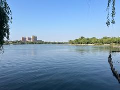 -济南大明湖景区