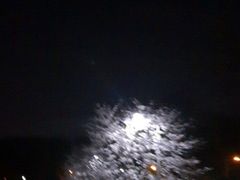 -湖北经济学院-图书馆